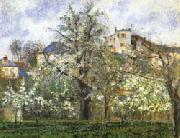 Camille Pissarro Vegetable Garden and Trees in Flower Spring painting